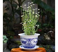 MYUYEE Vaso da Fiori in Porcellana Blu e Bianca Chinoiserie Jingdezhen Vaso da Fiori in Ceramica con Vassoio Fiore Traspirante Pianta Verde Pianta in Vaso Collezione,D-24cm