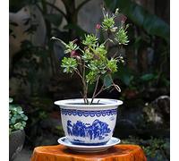 MYUYEE Vaso da Fiori in Porcellana Blu e Bianca Chinoiserie Jingdezhen Vaso da Fiori in Ceramica con Vassoio Fiore Traspirante Pianta Verde Pianta in Vaso Collezione,E-21cm