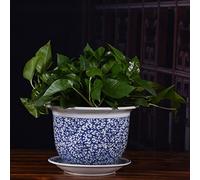 MYUYEE Vaso Decorativo in Ceramica in Porcellana Blu e Bianca con sottovaso per Piante da Interno Contenitore per Fiori con Foro di drenaggio per Piante Bonsai.,B-16cm*23cm