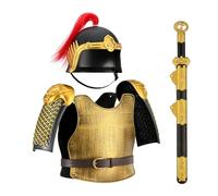 MZICXV Set di costumi da guerriero della dinastia for, casco e armatura da fenice indossabili, con spada giocattolo e faretra for travestimenti e rievocazioni storiche for(A)