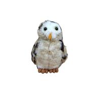 MZICXV Simulazione Colore Gufo Bambola Gufo Peluche Consapevolezza della scienza popolare Decorazione naturale del gufo Regalo