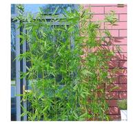 MZZKFC bambù Piante Alberi Artificiali Simulazione di Giuntura della Pianta di bambù 2.5m, Albero Artificiale per Tutte Stagioni, Impermeabile Resistente Raggi UV(40 Bamboos,2.5m/98.4 in)