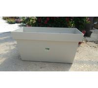 N. 1 VASO COMPLETO CON N. 2 PIANTE DI ALLORO ALTEZZA 160 CM (foto reli)