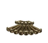 N. 10-24 Viti a testa bombata da 1/4" a 1" Bulloni a testa cilindrica a sei lobi 50 pezzi(5/8")