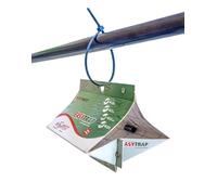 n.12 Trappole collanti tignole Easy Trap Phero con feromone attrattivo contro el farfalline degli alimenti