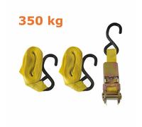 N° 2 Cinghie con 1 cricco cricchetto e ganci ancoraggio 350 e 750 kg Maurer