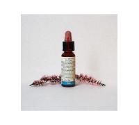 N°22 - Di Leo Fiori di Bach - Oak - Flacone da 10 ml