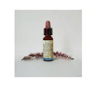 N°31 - Di Leo Fiori di Bach - Vervain - Flacone da 10 ml