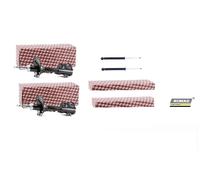 N° 4 Ammortizzatori Ashika 2 Anteriori + 2 Posteriori per Hyundai Santa Fe' I SM