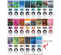 N 6 - 12 - 18 PILOT INCHIOSTRO IROSHIZUKU INKS 22 COLORI 50 ml SCELTA INCHIOSTRO