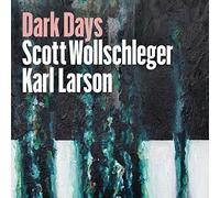 n/a Dark Days (CD)
