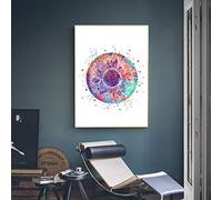 N / A Stampe decorative in tela Occhio umano stampa anatomia arte poster stampa tela murale per la formazione medica Home Decor-50x70cm