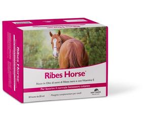 N.B.F. Lanes RIBES HORSE 30 BUSTE