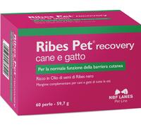 RIBES PET RECOVERY 60PRL