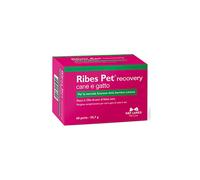 N. B. F. Lanes Ribes Pet Sollievo Blister 60 Perle