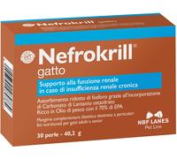 NEFROKRILL GATTO 30 PERLE