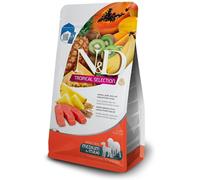 Farmina Dog N&D Tropical Adult Medium Maxi Salmone Cibo Secco Cani 2/10 Kg
