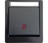 N & L 27615 Interruttore di controllo Completo Da parete Nero 1 pz.