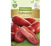 N.L. Chrestensen 4322 - Pomodoro a stelo San Marzano 3