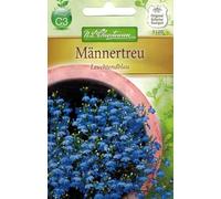 N.L.Chrestensen 5170, Lobelia erinus, fedele agli uomini, blu brillante, blu