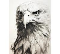 N.LANSHAN 11CT Animale Diy Kits De Bordado Punto Cruz Aquila Bianca E Nera Kit Punto Croce Stampato,Timbrato Ricamo Set Per Adulti Embroidery Art Decorazione Casa 40x50cm
