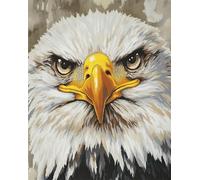 N.LANSHAN 11CT Animale Diy Ricamo Punto Croce Set Aquila Fantastica Kit Ricamo Fai Da Te Timbrato Per Adulti Principianti Progetti Punto Croce Ricamo Fatto A Mano 40x50cm