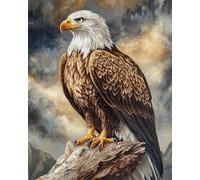 N.LANSHAN 11CT Animale Diy Ricamo Punto Croce Set Ritratto Di Aquila Kit Ricamo Fai Da Te Timbrato Per Adulti Principianti Progetti Punto Croce Ricamo Fatto A Mano 50x70cm