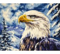 N.LANSHAN 11CT Animale Kit Punto Croce Prestampato Aquila Fantastica Kit Punto Croce Stampato,Timbrato Ricamo Set Per Adulti Embroidery Art Decorazione Casa 50x70cm