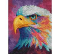 N.LANSHAN 11CT Animale Kit Punto Croce Ricamo Aquila Colorata Set Ricamo Prestampato Fai Da Te Ricamo A Mano Arte Timbrato Punto Croce Kit Per Principianti 50x70cm
