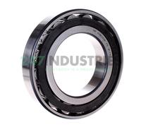 N218E G15 J30 SNR 90 x 160 x 30 mm CYL. ROLL. SINGLE ROW