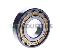 N311-E-XL-M1-P6-C3 FAG 55 x 120 x 29 mm CYL. ROLL. SINGLE ROW Fila singola di...