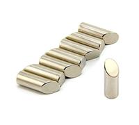 N42 Magnete A Mitra Di Neodimio Per Motori Elettrici, Produzione E Ingegneria Del Motore - 10mm Dia x 30mm Di Spessore - 3,6kg Di Tiro - Pacco A Sud - Pacco Di 32