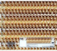 Na Ul (Brown Eyed Soul) - 1st (韓国盤)