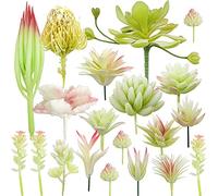 NA Woohome 20 Pz Succulente Piante Artificiali Bianca Piante Grasse Finte Decorative Uncotted Faux Flower Succulente per Parete DIY Home Decor