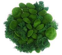 NA Woohome Muschio Artificiale, 30 Pz Artificiale Moss Rocks Stones Verd Muschio Artificiale Rocce Decorative, 30G Muschio Verde Stabilizzato per Composizioni Floreali, Giardini Fatati, Artigianato