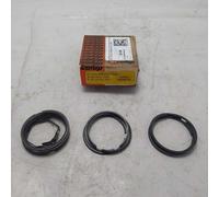 NA0046 fasce elastiche anelli segmenti pistone Fiat 1100 103 1953-60 060 mm 5004