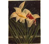 NAAYRASA Famoso Pittura Astratta Poster Wall Art Pittura la Canzone di Los di William Blake per la Decorazione Della Parete 60x90cm