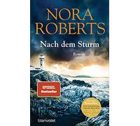Nach dem Sturm: Roman