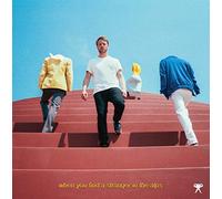 Nachtbraker When You Find a Stranger in the Alps (Vinyl LP) 12" Album