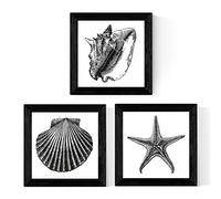 Nacnic Confezione da 3 fogli animali marini in bianco e nero. dimensioni 25x25