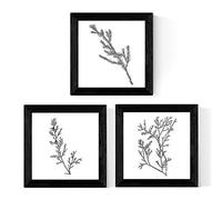 Nacnic Confezione da 3 fogli di rami degli alberi. 20x20