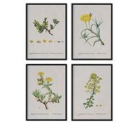 Nacnic Pacchetto fogli di fiori gialli. Poster con illustrazioni ad acquerelli dall'artista francese Pierre-Joseph Redouté. Decorazione d'interni. Dimensioni A3 con telaio.