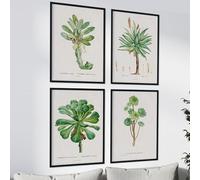 Nacnic Pacchetto fogli succulenti. Poster con illustrazioni ad acquerelli dall'artista francese Pierre-Joseph Redouté. Decorazione d'interni. Dimensioni A3 con telaio.