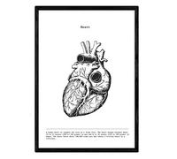 Nacnic Poster anatomia in bianco e nero con immagini del corpo umano. Piastra su biologia e medicina con dettaglio cuore. Dimensione A3. Con Marco.