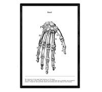 Nacnic Poster Anatomia in Bianco e Nero con Immagini del Corpo Umano. Stampe su biologia e Medicina con Dettagli Mano. Dimensione A4. con Marco.