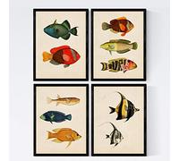 Nacnic Set 4 Fogli di Pesce Effetto Vintage Colorati. Baleares. Composizione di 10 Pesci Diversi in Formato A3, Sfondo Vecchia Carta per manifesti di Carta Vintage 250