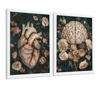 Nacnic Set Di 2 Stampe Anatomia Umana Poster E Quadri Con Cuore E Cervello Illustrazione Floreale Sofisticata Sfondo Verde Decorazione Da Parete Medica Dimensione A3 Cornice Bianca