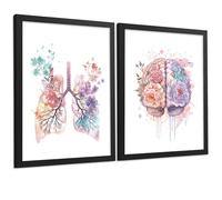 Nacnic Set Di 2 Stampe Anatomia Umana Poster E Quadri Con Polmoni Trachea Bronchi E Cervello Acquerello Floreale Colori Pastello Decorazione Da Parete Medica Dimensione A3 Cornice Nera