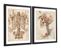 Nacnic Set Di 2 Stampe Anatomia Umana Poster E Quadri Con Scheletro Cranio Colonna Vertebrale Costole Pelvi Stile Classico Decorazione Da Parete Medica Dimensione A3 Cornice Nera