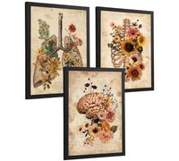 Nacnic Set Di 3 Stampe Anatomia Umana Floreale Vintage Poster E Quadri Con Polmoni Gabbia Toracica E Cervello Stile Botanico Antico Decorazione Da Parete Medica Dimensione A4 Cornice Nera